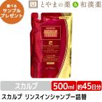 【メール便で送料無料】スカルプタイム スカルプシャンプー詰替用500ml　※２個からは宅配便になります 頭皮ケア ノンシリコン ふけ かゆみ ピロクトンオラミン