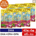 DHA+EPA+DPA+イチョウ葉エキス 40粒 6個セット イチョウ葉 サプリ ビタミンe タブレット 健康食品 健康サプリ フィッシュオイル