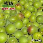 青梅　福井梅　訳あり(無選別品）　紅映　梅干し加工用　９ｋｇ