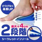 貴方を変えるインソール　シークレットインソール　4cm 身長アップ　ハーフタイプ