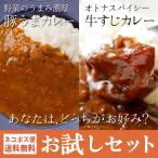 カレー お試しセット（牛すじカレー＆豚うまカレー） レトルトカレー レトルト 送料無料 もつ鍋 水炊き 博多若杉 （御年賀 ポイント消化 肉 お取り寄せ）