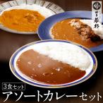 カレー アソート セット （3食セット） レトルトカレー もつ鍋 水炊き 博多若杉 （御歳暮 ポイント消化 肉 お取り寄せ）