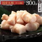 丸腸 300g（150g×2セット） マルチョウ マル腸 まる腸 牛ホルモン 肉 牛肉 国産 ホルモン もつ鍋 具材 追加具 BBQ 焼肉セット 博多若杉