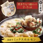 もつ鍋 牛もつ鍋セット （2～3人前） お取り寄せ鍋セット もつ鍋セット 取り寄せ 肉 料理  国産 牛もつ 博多若杉