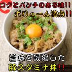 【簡単調理】 豚スタミナ丼の素 冷凍 165ｇ 20袋入り 温めるだけ 簡単 おかず 冷凍 食品 グルメ 豚肉 焼肉 スタミナ 時短 お手軽 便利 美味しい 送料無料