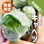  Gunma префектура производство капуста 6 шар 2L размер ограниченное количество большой шар рынок прямая поставка 