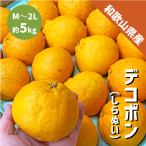 和歌山県産 デコポン 約5kg 和歌山 でこぽん 凸ポン しらぬい 不知火 ギフト 自宅用 贈答 柑橘 ありだ