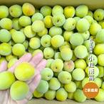  маленький шарик юг высота примерно 5kg синий слива юг высота слива слива сироп сливовое вино Wakayama префектура производство 
