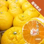 shi... есть перевод примерно 1kg Wakayama не . огонь .... дом для ..