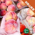  Wakayama префектура производство sumomo большой камень . сырой примерно 1kg ( примерно 500g×2 упаковка ) 2L размер и больше 2L 3L слива s Momo 