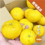  yuzu есть перевод примерно 5kg Wakayama префектура производство . коррозия .* воск не использование . для бытового использования размер смешивание джем yuzu ванна 