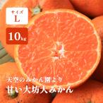  мандарин 10kg L шар Wakayama коробка покупка .. большой .. зима большой mi can . юг мандарин . сырой бесплатная доставка 