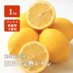  лимон местного производства 1kg средний шар Wakayama коробка покупка утро .... лимон no- воск . коррозия . не использование . юг remone-do лимон сауэр бесплатная доставка 