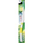 �ե�å��塡�ͥ��åȡ��դĤ�