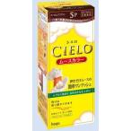 シエロ　ムースカラー　５Ｐ　ダークピュアブラウン(白髪用）　シエロ(CIELO)　