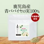 青パパイヤ 酵素 粉末 パウダー パパイヤ酵素 スーパーフード 無添加 添加物不使用 エイジングケア 美容 健康 ダイエット ポリフェノール ビタミン 免疫 抗酸化