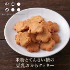 ショッピング訳あり スイーツ 送料無料 米粉とてんさい糖の豆乳おからクッキー 500g 送料無料 おから クッキー 訳あり スイーツ 置き換え TSG TN