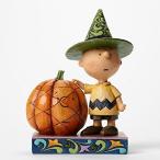 Enesco(エネスコ) Peanuts by Jim Shore Charlie Brown with Pumpkin 4045889