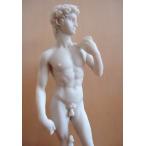 Michelangelo's David Nude Collectible Statue Figurine H: 12.5ミケランジェロのダビデ像ヌードコレク