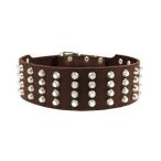 Dean and Tyler "4 ROW STUDS" Extra Wide Dog Collar with Strong Nickel Studs - Brown - Size 20-Inch