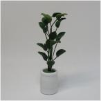 ドールハウス小物　観葉植物2　フラワーアレンジ　【1/12小物】【シルバニア】【母の日】