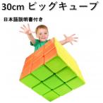 日本語攻略法付き 安心の保証付き ビッグキューブ 30cm 3x3x3 巨大キューブ ステッカーレス ラージキューブ 教育玩具 ルービックキューブ おすすめ