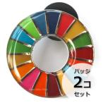 国連本部限定販売 SDGs ピンバッジ 日本未発売 UNDP （丸みタイプ2個）