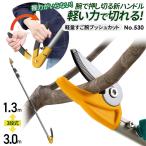  обрезка на высоком месте .msasi легкий 3 ступенчатый .. рука кнопка cut Anne Bill лезвие одиночный товар No.530 обрезка на высоком месте basami супер-легкий эластичный обрезка ножницы двор ножницы принадлежности для садоводства обрезка ветка порез садоводство 