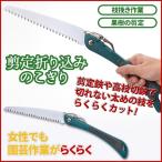 折り込み鋸 ガーデニング用品 園芸用品 ガーデニング 園芸 折り込みのこぎり ノコギリ 枝切り はさみ 剪定 庭 お庭お手入れ メール便