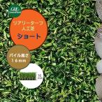  искусственный газон задний Lee брезент Short 2M×5M пирог ru длина 16mm антибактериальный огнестойкий cтатическое электричество сдерживание защита от плесени дезодорация C type пирог ru искусственный газон газонная трава сырой искусственный газон сырой roll бесплатная доставка 