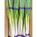  Akita префектура производство белый бог лук-батун dosali5kg L размер 15 пачка ввод есть перевод лук-батун овощи . предмет . кастрюля предмет оптимальный кастрюля было использовано . в точности .. скоропортящийся 