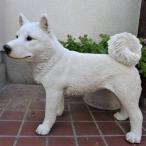 犬の置物 大型柴犬白 N13468 いぬ イヌ オーナメント ガーデン インテリア 雑貨 置物 庭 ガーデンマスコット オブジェ