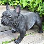 犬の置物 フレンチブルドッグ Ｎ１