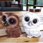 ショッピング置物 フクロウの置物 ふくろう２色セット １５１・１５２ＱＹ 鳥 とり オーナメント オブジェ ガーデン ガーデニング 置物 縁起物