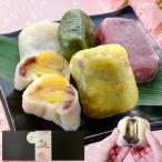 団子 熊本 名物 いきなり団子 （5種×2個、合計10個セット）和菓子 送料無料 ラッピング無料   贈り物 ギフト グルメ プレゼント 歳暮 熨斗