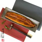 国産 鰻の蒲焼き 110g 1尾 送料無料(離島を除く)甲佐養鰻場 お試し 化粧箱 贈り物 ギフト グルメ プレゼント 中元 お歳暮