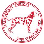 ダルメシアン柄入り 犬 ステッカー Cパターン　