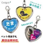 即日出荷対応 名入れ ペット用迷子札【ハート型】犬 猫 画像・写真印刷対応 ギフトラッピング無料 メール便送料無料