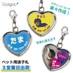 ３営業日出荷 名入れ ペット用迷子札【ハート型】犬 猫 画像・写真印刷対応 ギフトラッピング無料 メール便送料無料