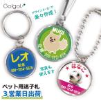 ３営業日出荷対応 犬用迷子札 ネックチャーム ネームタグ 名札 防水仕様 オーダーメイド ペットグッズ 名入れ メール便送料無料
