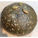  все шарик 100.... грецкий орех ..[ цельнозерновая мука 100%, натуральный дрожжи хлеб, без добавок ].* яйцо не использование, белый сахар не использование 