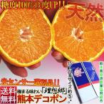 デコポン 熊本産 露地栽培 約5kg 15〜24玉 産地箱入り 糖度13度以上保障 光センサー選果済み 全国統一糖酸品質基準通過 しらぬい厳選