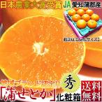 ショッピングデコポン 蒲郡せとか 約3kg L〜4Lサイズ 贈答規格 愛知県産 加温栽培 日本農業賞大賞のJA蒲郡市が誇る最高峰の高級フルーツ ジューシーで濃厚な甘さの温室みかん 爆買
