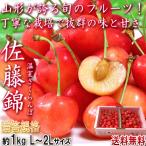 山形県産 佐藤錦 さくらんぼ 1kg