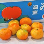  теплица мандарин примерно 2kg S~L размер Kumamoto префектура производство .. стандарт JA Kumamoto город сон будущее бренд. house меласса .!. толщина ........ еда чувство 