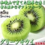  киви фрукты маленький шар примерно 5kg S размер центр Wakayama префектура производство частное лицо сельское хозяйство дом производство . толщина .. кислота .... изобилие . питание!