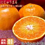 ショッピング甘平 にじゅうまる 大玉限定 5〜7玉 2〜4Lサイズ 佐賀県産 贈答規格 甘平と姉妹品種の特産品フルーツ！プチっとした食感に濃厚な味と甘さ