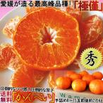 ショッピング甘平 みかん 甘平 かんぺい 約2.5kg 愛媛県産  秀品~良品 加温〜露地栽培 贈答規格 シャキシャキの食感と高い糖度！愛媛オリジナルの新品種