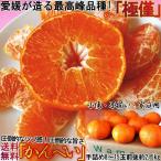 ショッピング甘平 甘平 かんぺい 約2.5kg 8〜15玉 愛媛県産 訳あり シャキシャキの食感と高い糖度！愛媛オリジナルの高級みかん