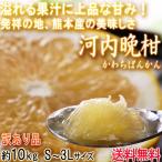 河内晩柑 かわちばんかん 訳あり品 約10kg 熊本県産 豊富な果汁と上品な甘さの和製グレープフルーツ!